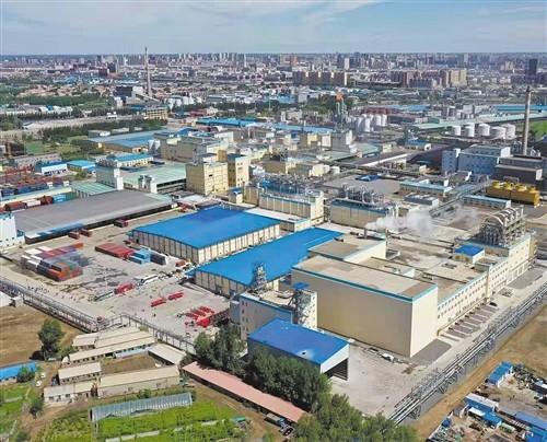 小玉米有大追求|嘉吉|松原|吉林|聯(lián)合國世界糧食計劃署|玉米